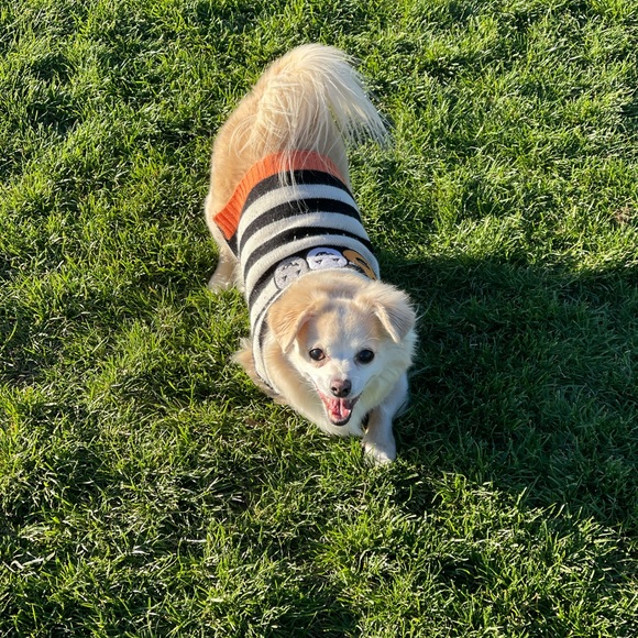 ✨MY BIG WHY✨ - Picture 12 of 16